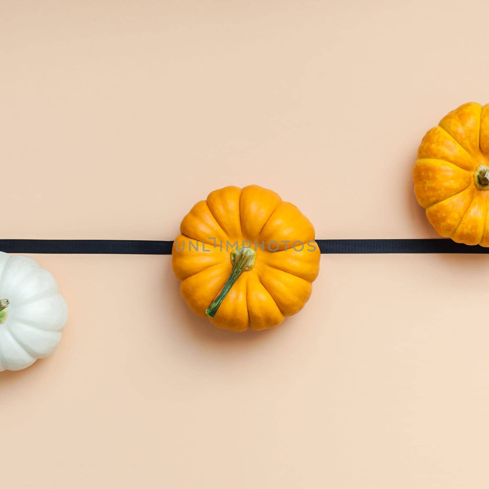 Creative Top view flat lay autumn composition. Frame concept pumpkins color paper background copy space. Square template fall harvest thanksgiving halloween anniversary invitation cards