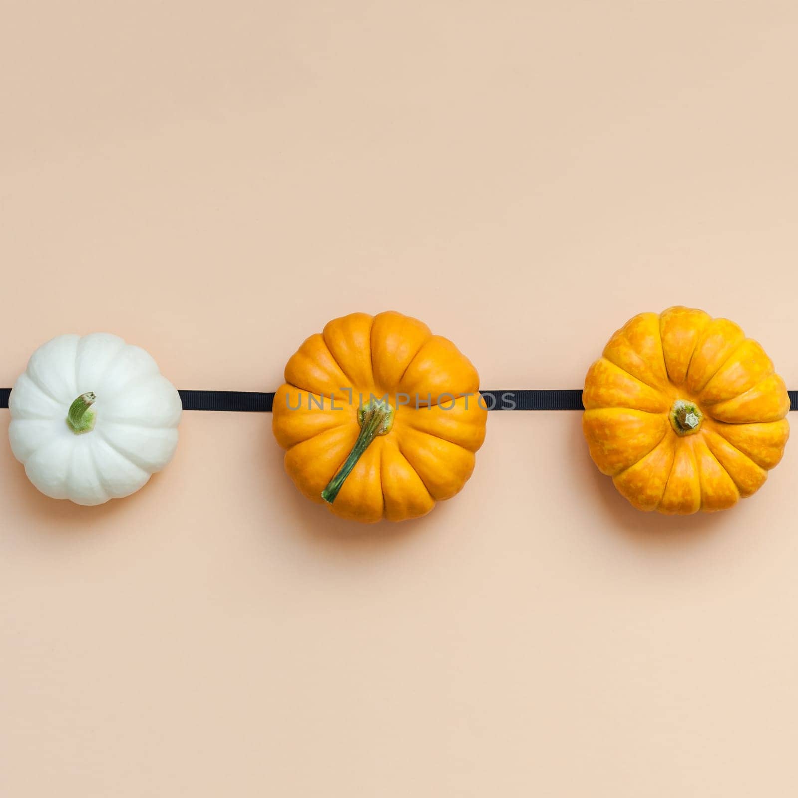 Creative Top view flat lay autumn composition. Frame concept pumpkins color paper background copy space. Square template fall harvest thanksgiving halloween anniversary invitation cards