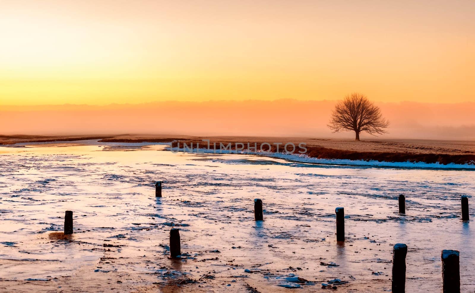 A misty sunrise over a rural winter landscape in the countryside of Dorset in the south of England.