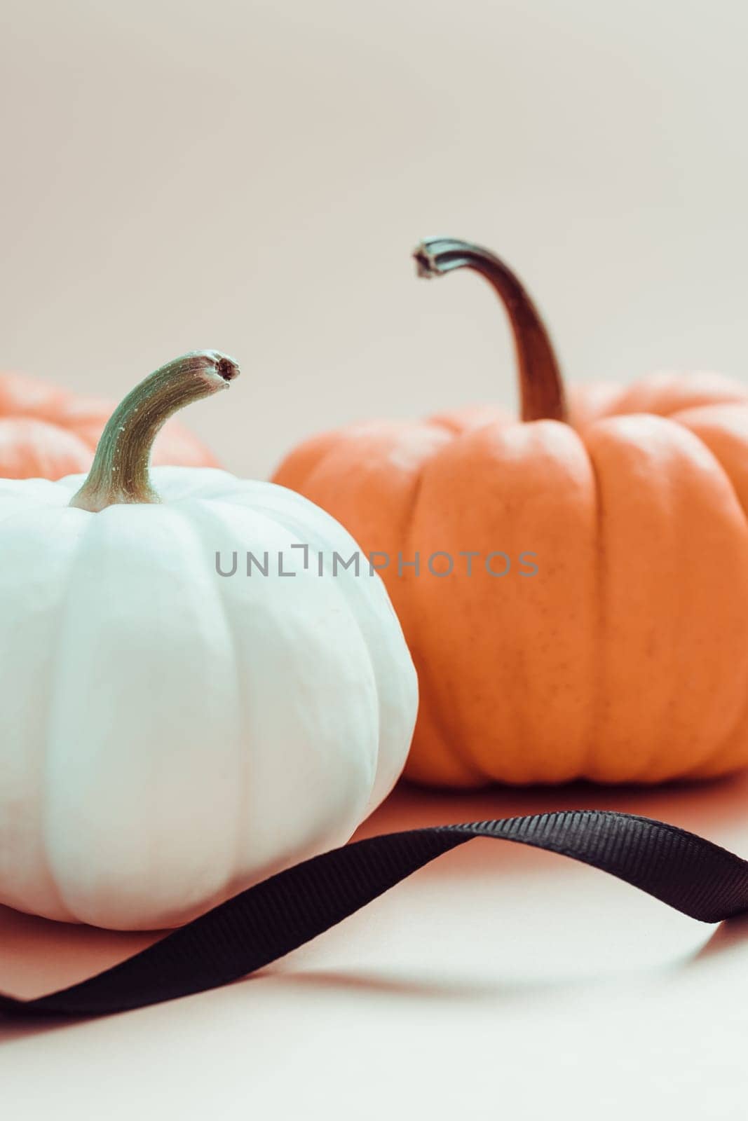 Autumn orange and white pumpkins thanksgiving halloween black ribbon background wooden box with copy space. Template for fall harvest mood text