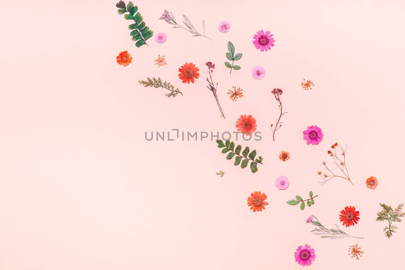 Creative Top view flat lay autumn composition. Frame made of dried flowers and leaves on color paper background with copy space. Template for fall harvest wedding anniversary invitation cards