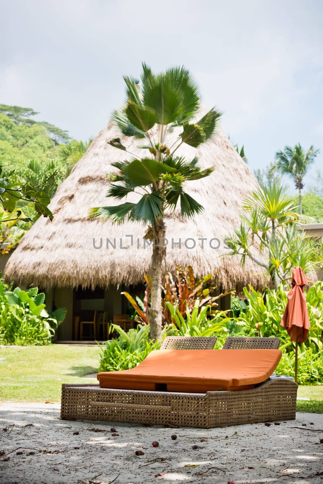 beach bed on white sand among palm trees in full sun