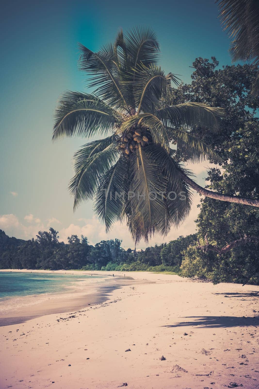 Tropical beach at Mahe island Seychelles. Vertical filtered shot