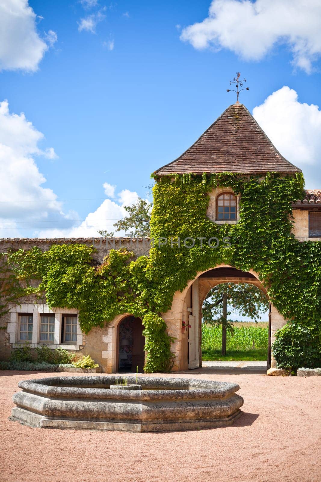 Overgrown residential building and its yard in the Southern France