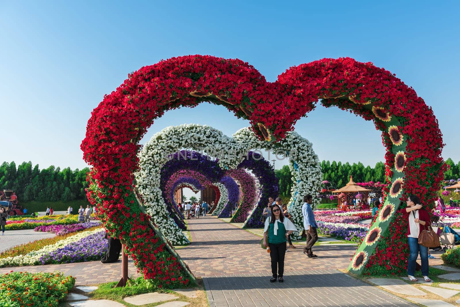 UAE, DUBAI - DECEMBER 30: dubai miracle garden with over million flowers on a sunny day December 30, 2014
