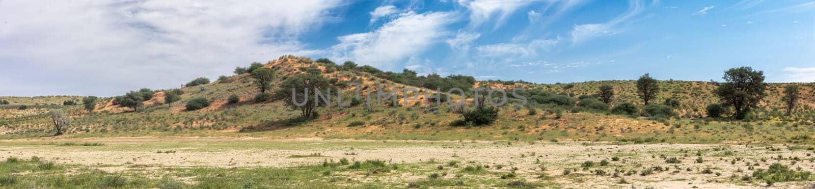 Kalahari desert after rain season, South Africa wilderness