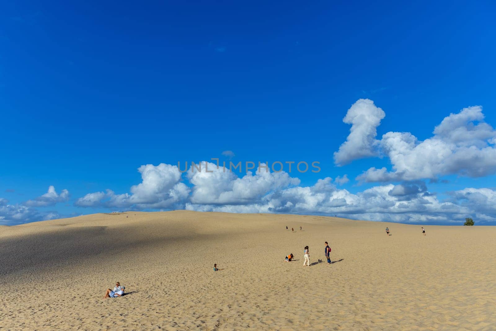 Dune of Pilat, France - August 14,2024: People on the Dune of Pilat, the tallest sand dune in Europe. La Teste-de-Buch, Arcachon Bay, Aquitaine, France