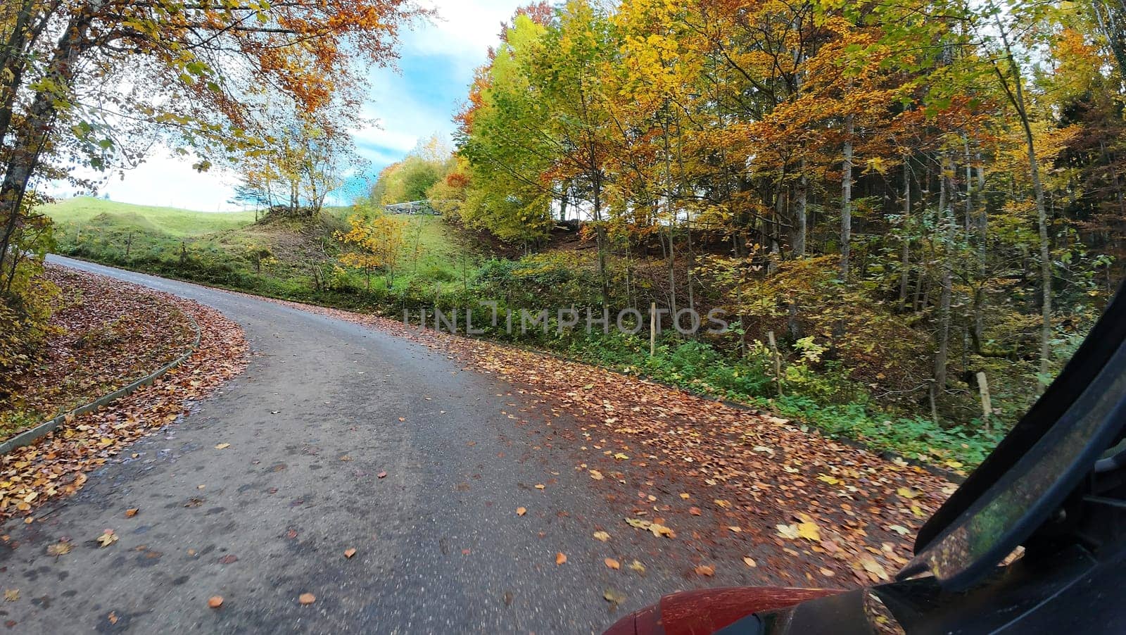 Wet fall leaves on the road can be dangerous for motorcycles