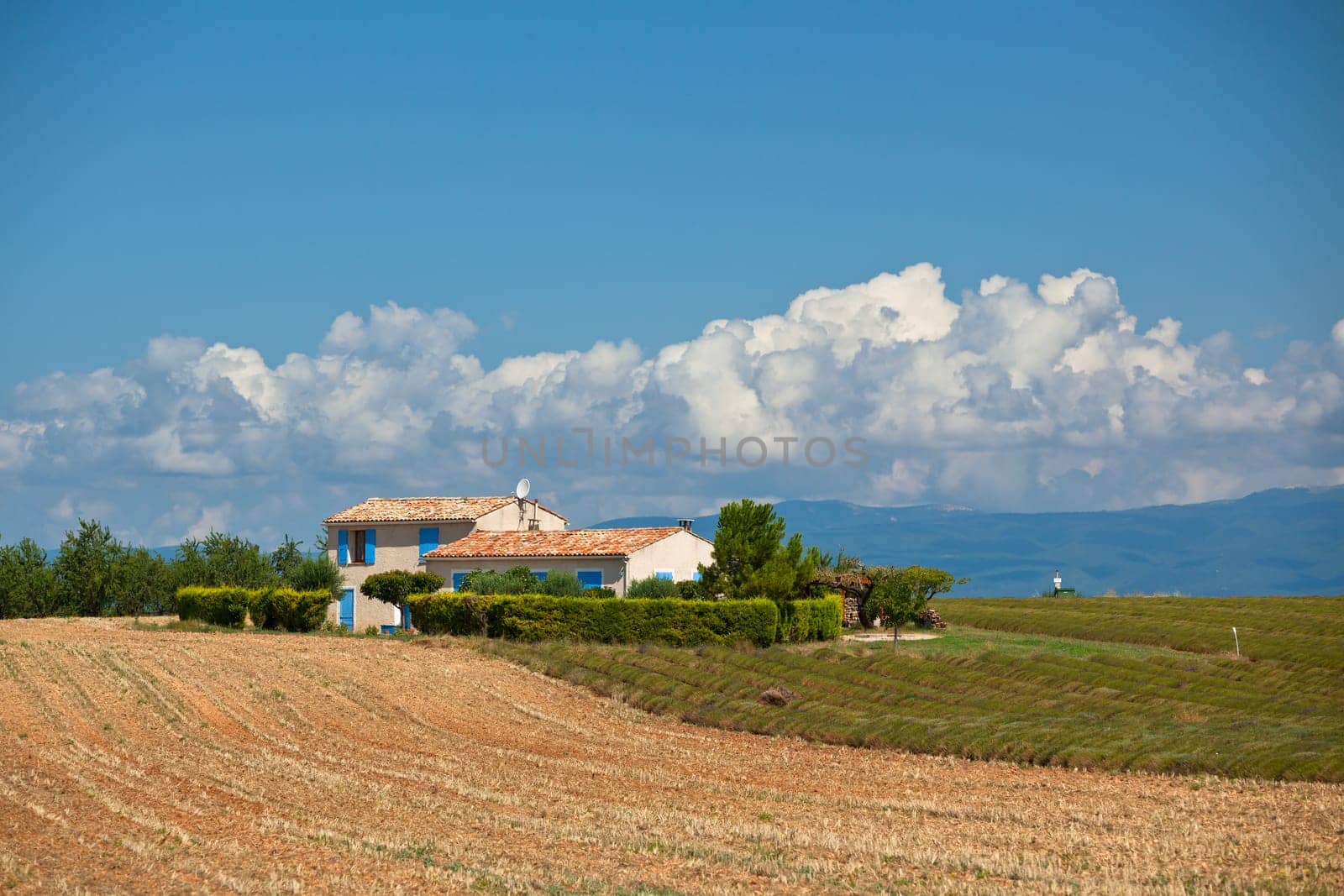 Farmhouse in a harvested lavender field, Valensole, Provence, France