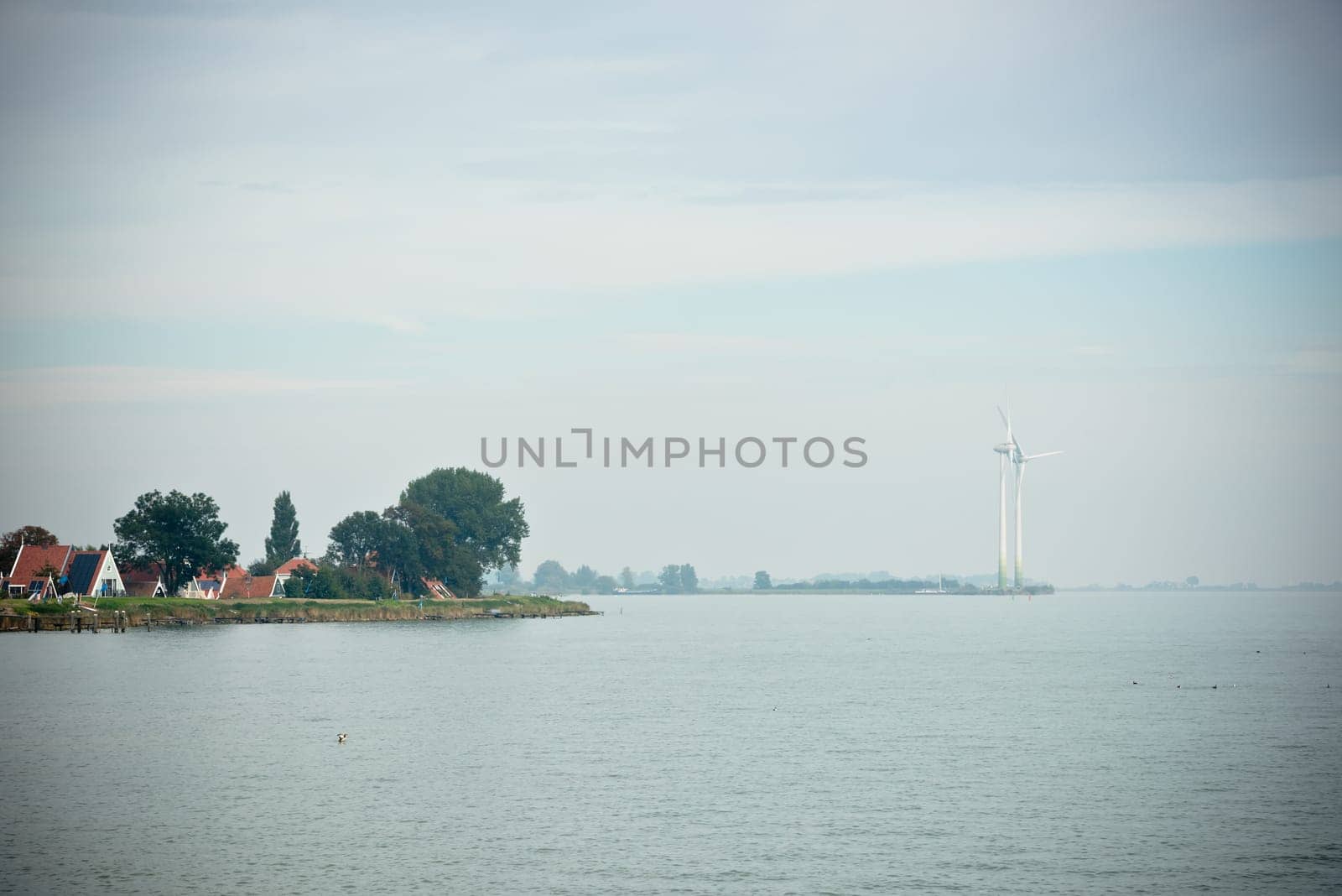 Northern Sea landscape: still water and birds on wooden posts