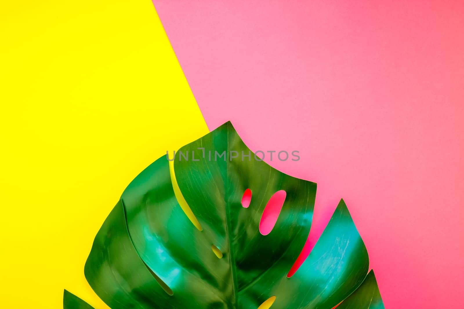 Tropical jungle palm monstera leaves on bright yellow and pink paper background. Summer creative pop art flat lay concept template for text