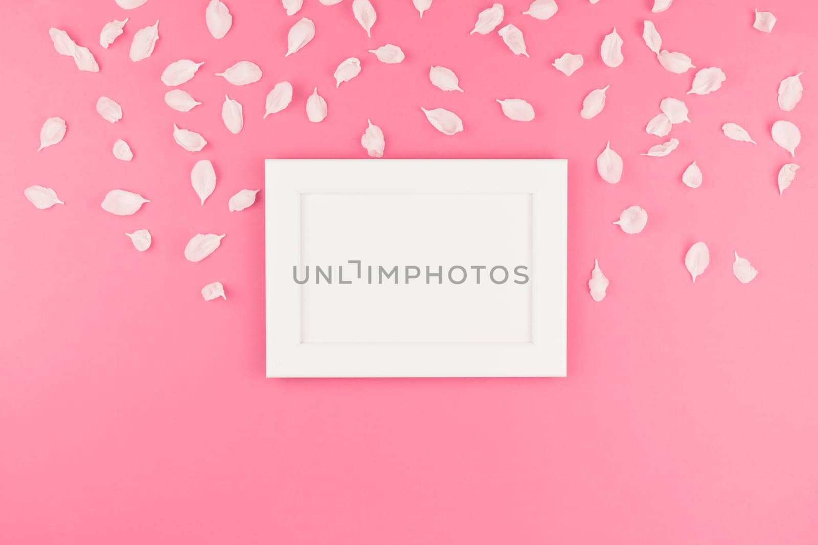 Creative flat lay concept top view of white frame mock up and apple tree flowers petals on pastel pink background with copy space in minimal style, template for text