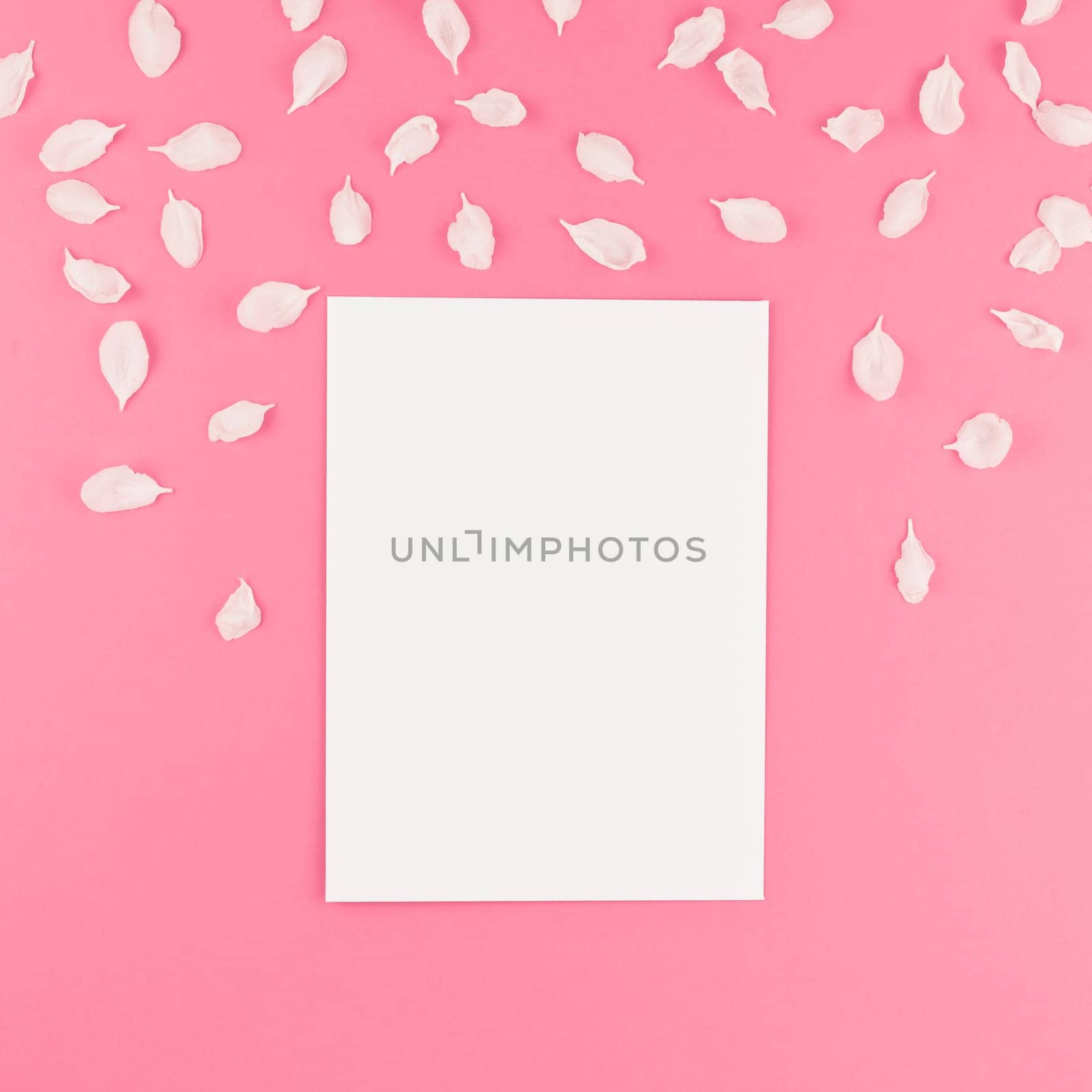 Creative flat lay concept top view of blank postcard mock up and apple tree flowers petals on square pastel pink background with copy space in minimal style, template for text