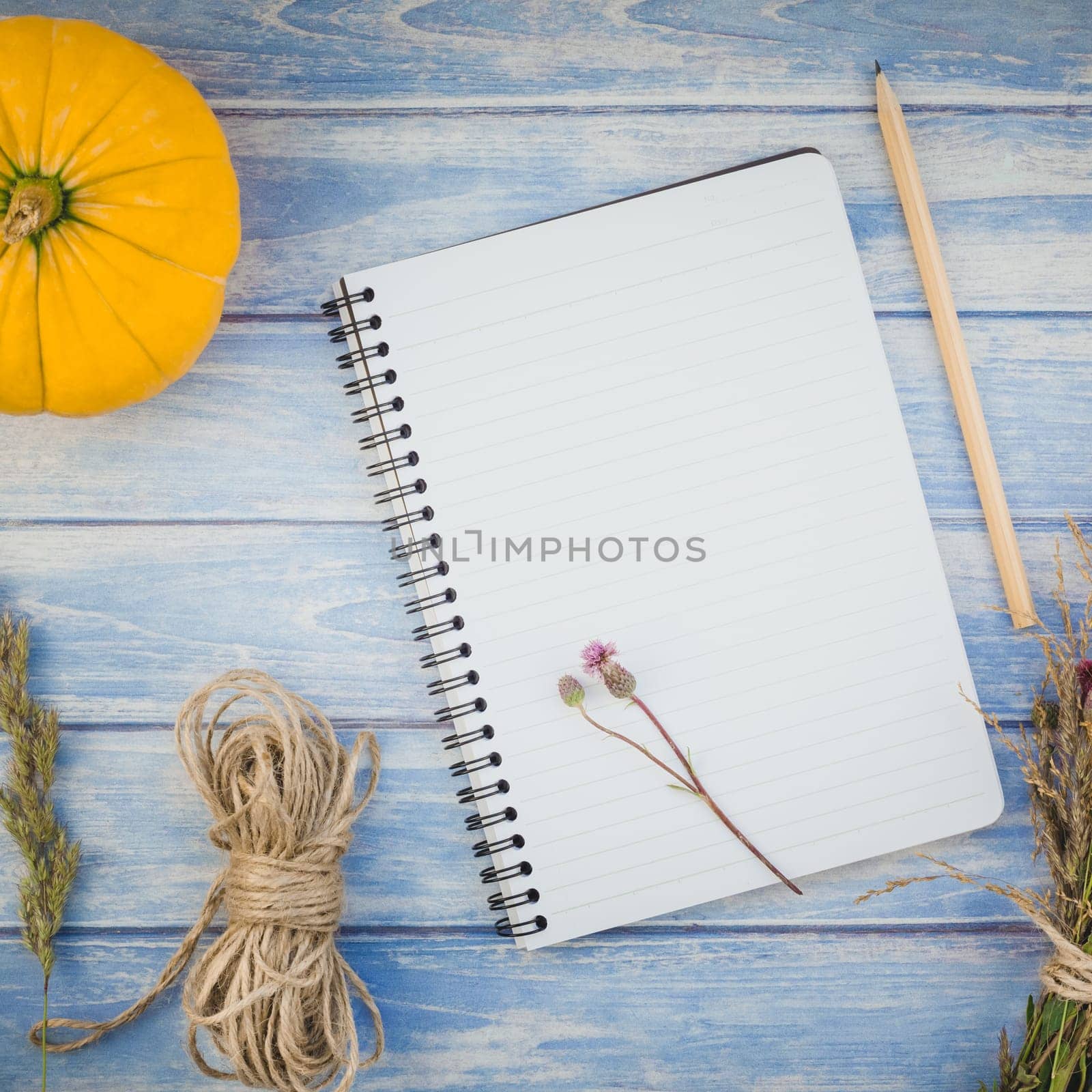 Square Top view of autumn orange pumpkins and dry flowers with grass thanksgiving background over blue toned wooden table with notebook mock up and copy space in rustic style, template for text
