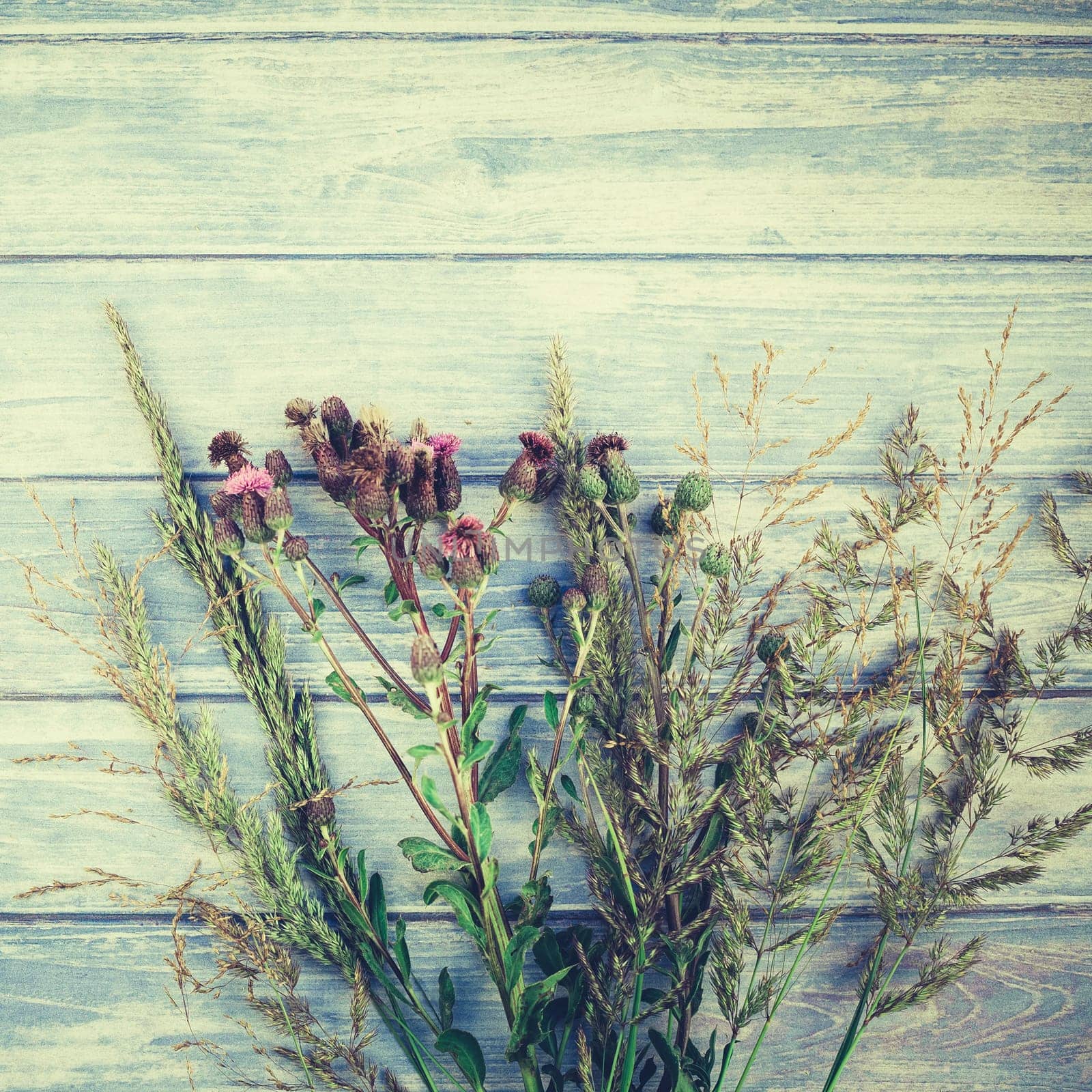 Autumn bouquet of dry flowers and grass on toned blue wooden square background with copy space