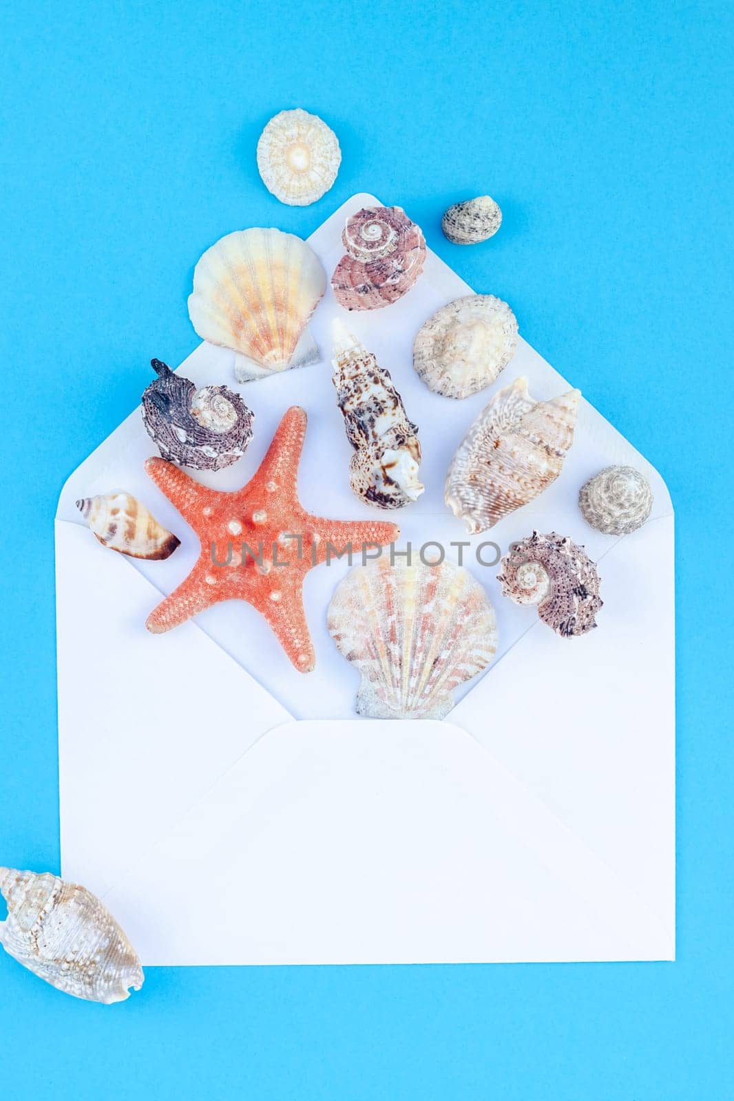 Creative flat lay concept of summer travel vacations. Top view of seashells and starfish on turquoise blue background with postcard mock up and copy space in minimal style, template for text