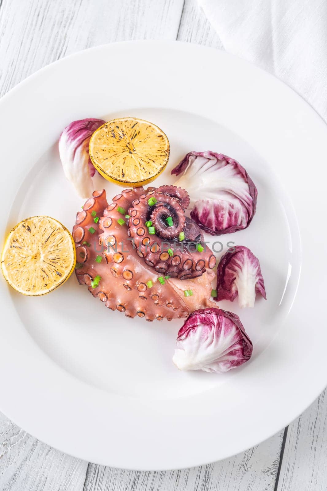 Portion of grilled Octopus with lemon and lettuce