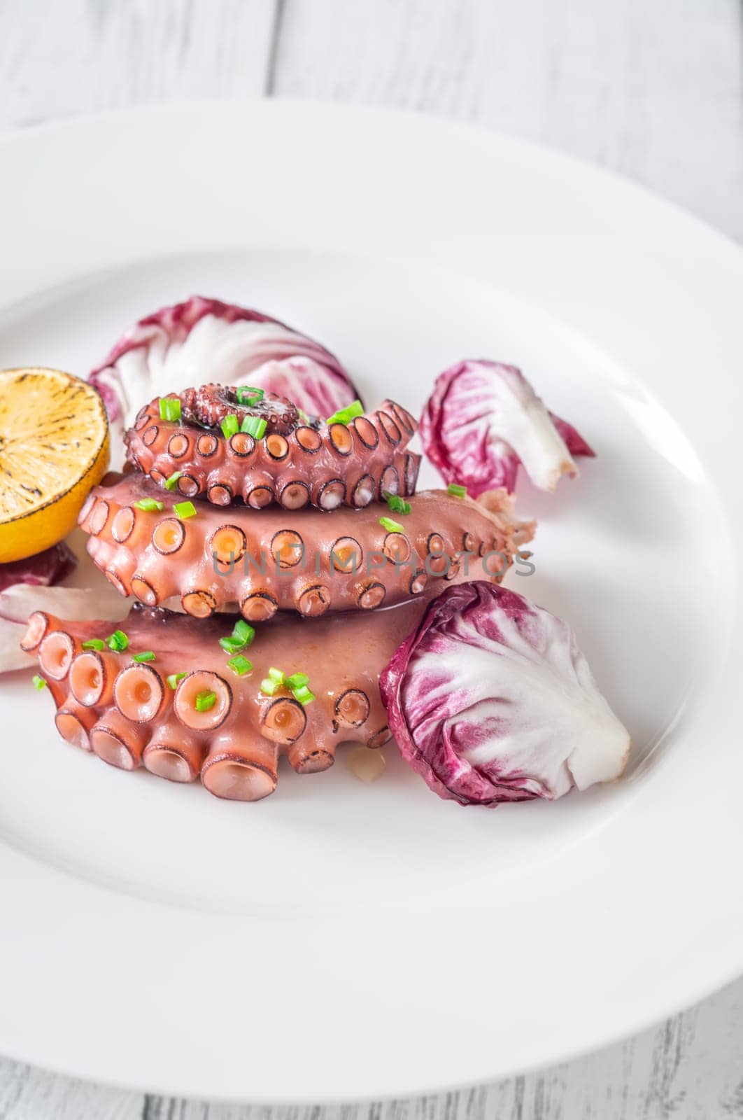Portion of grilled Octopus with lemon and lettuce