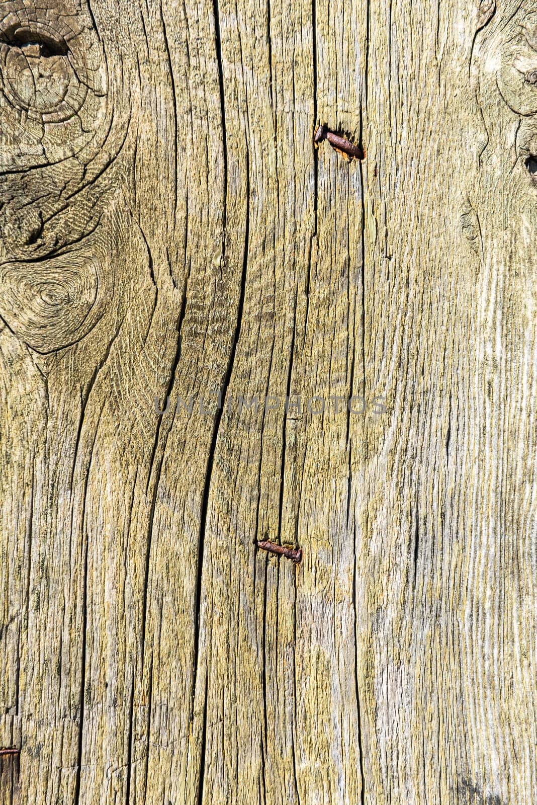 Old wooden planks surface background. shabby texture