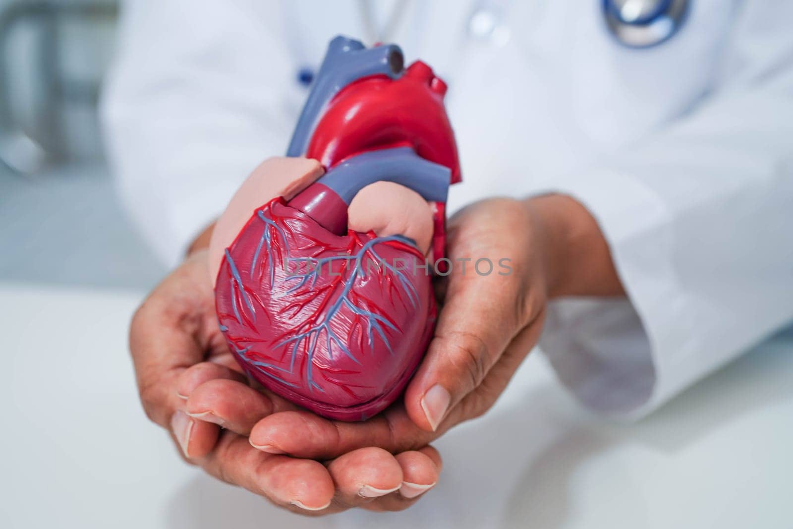 Cardiovascular disease CVD, doctor with heart human model anatomy for treatment patient in hospital.