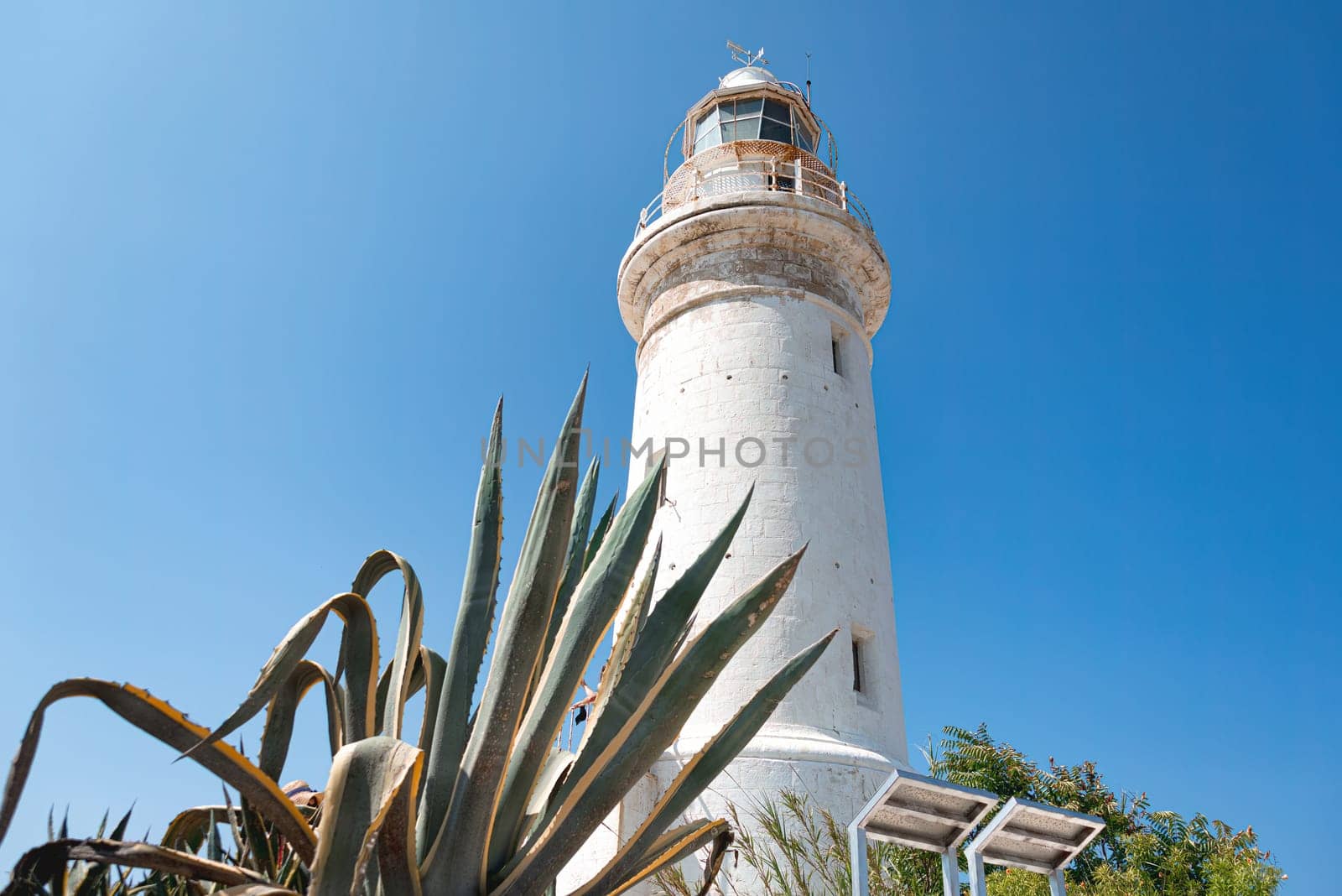 The whitewashed Paphos lighthouse is standing tall against a clear blue sky, with a large agave plant in the foreground. Cyprus