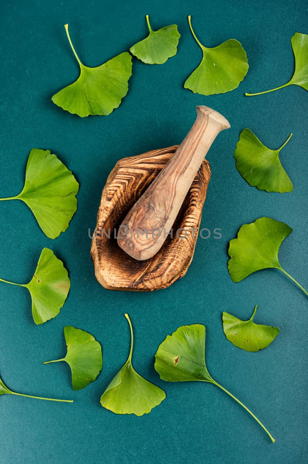Medicinal leaves from the ginkgo biloba tree and yellow nuts. Mortar and pestle.