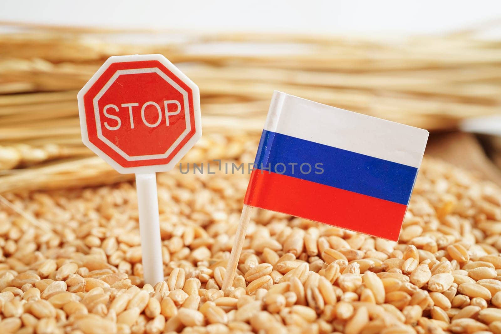Russia flag on grain wheat, trade export and economy concept.