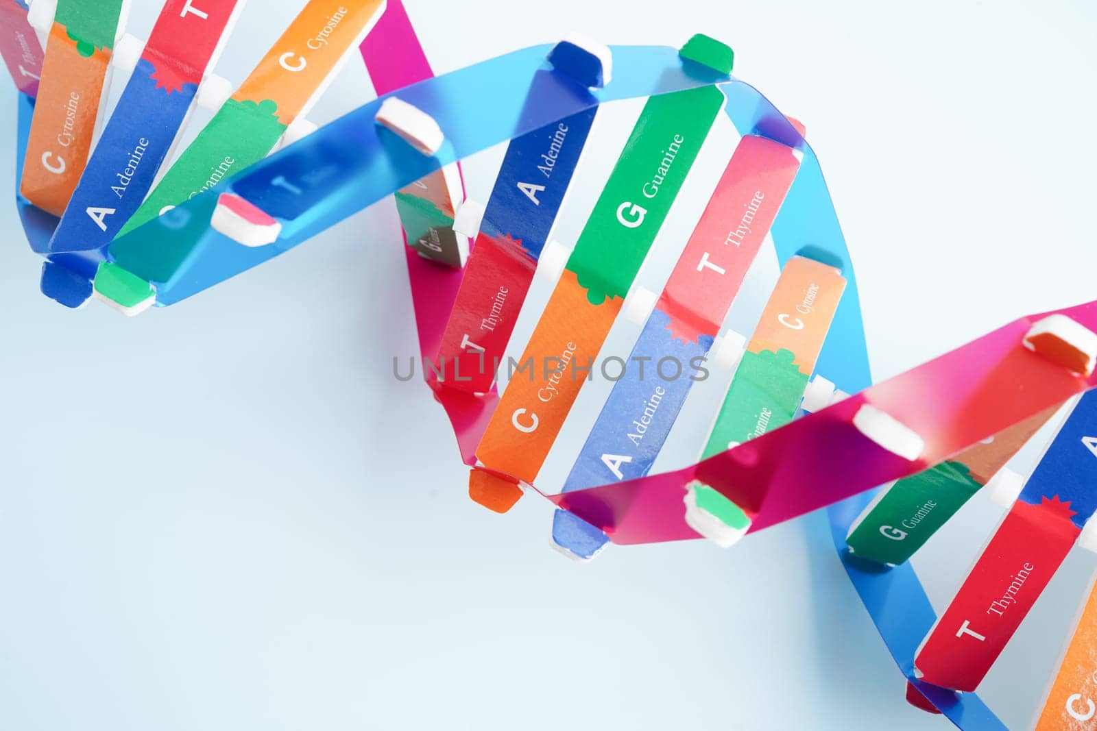 DNA molecule spiral structure model isolated on white background, chromosome and gene chemical science biology.