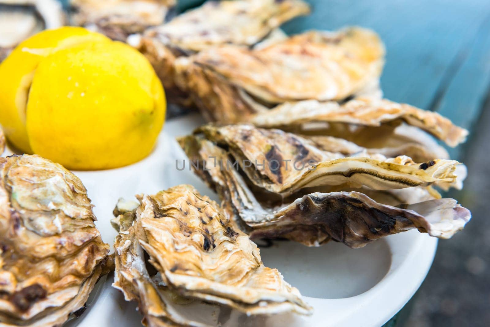 A dozen oysters and a lemon on a plastic plate eating outdoors near the sea