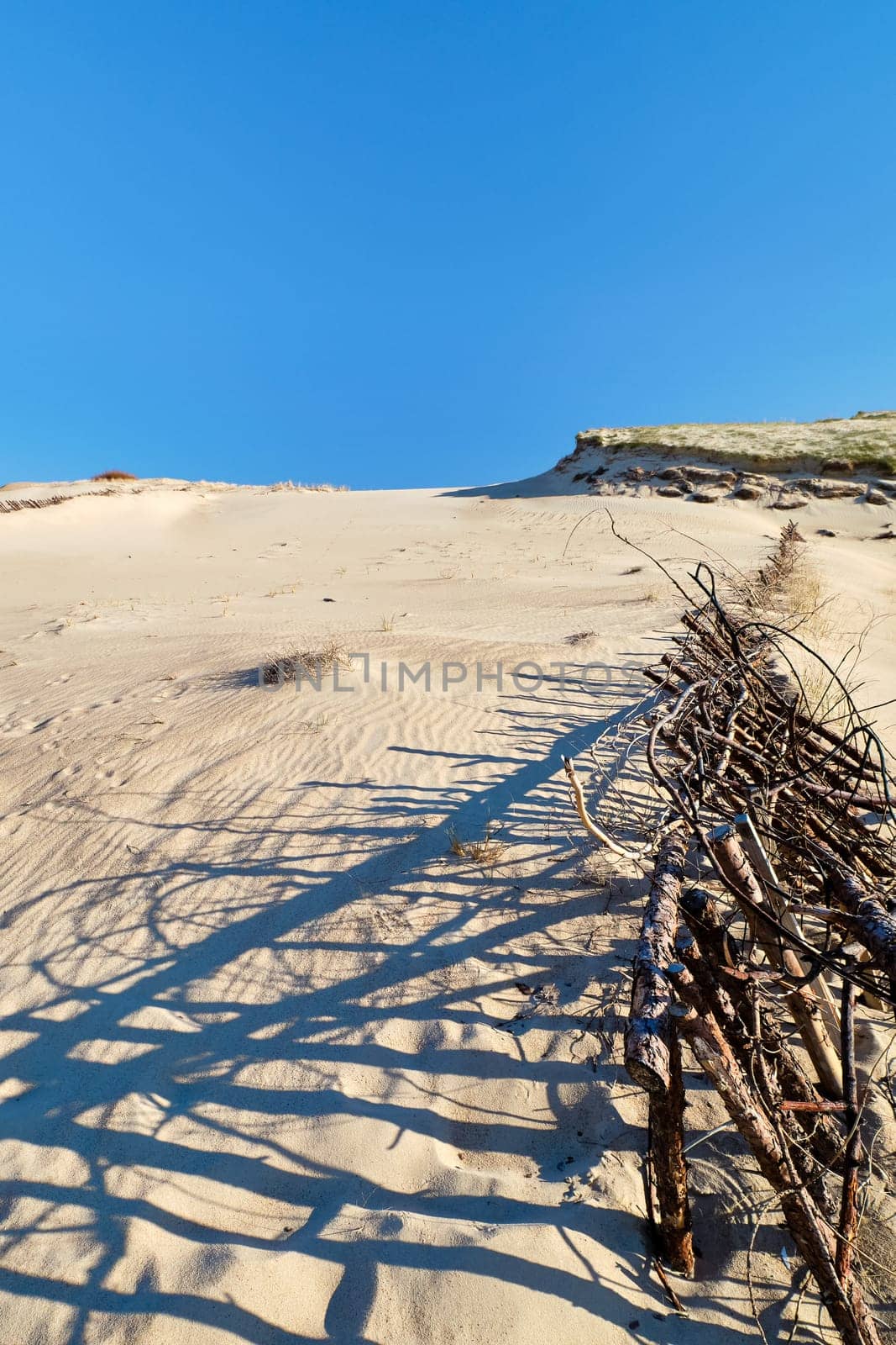 Beautiful calm view of nordic sand dunes and protective fences at Curonian spit, Nida, Klaipeda, Lithuania. Buried wood, desert and sand, sunny blue sky. Sand patterns