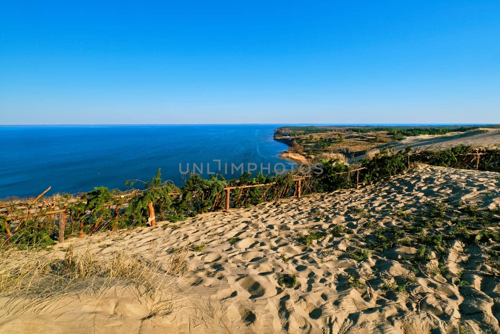 Landscape of Curonian spit, Nida, Klaipeda, Lithiania and Baltic sea. View of sand dunes, protective fences, pine branches, footprints, early spring flora.