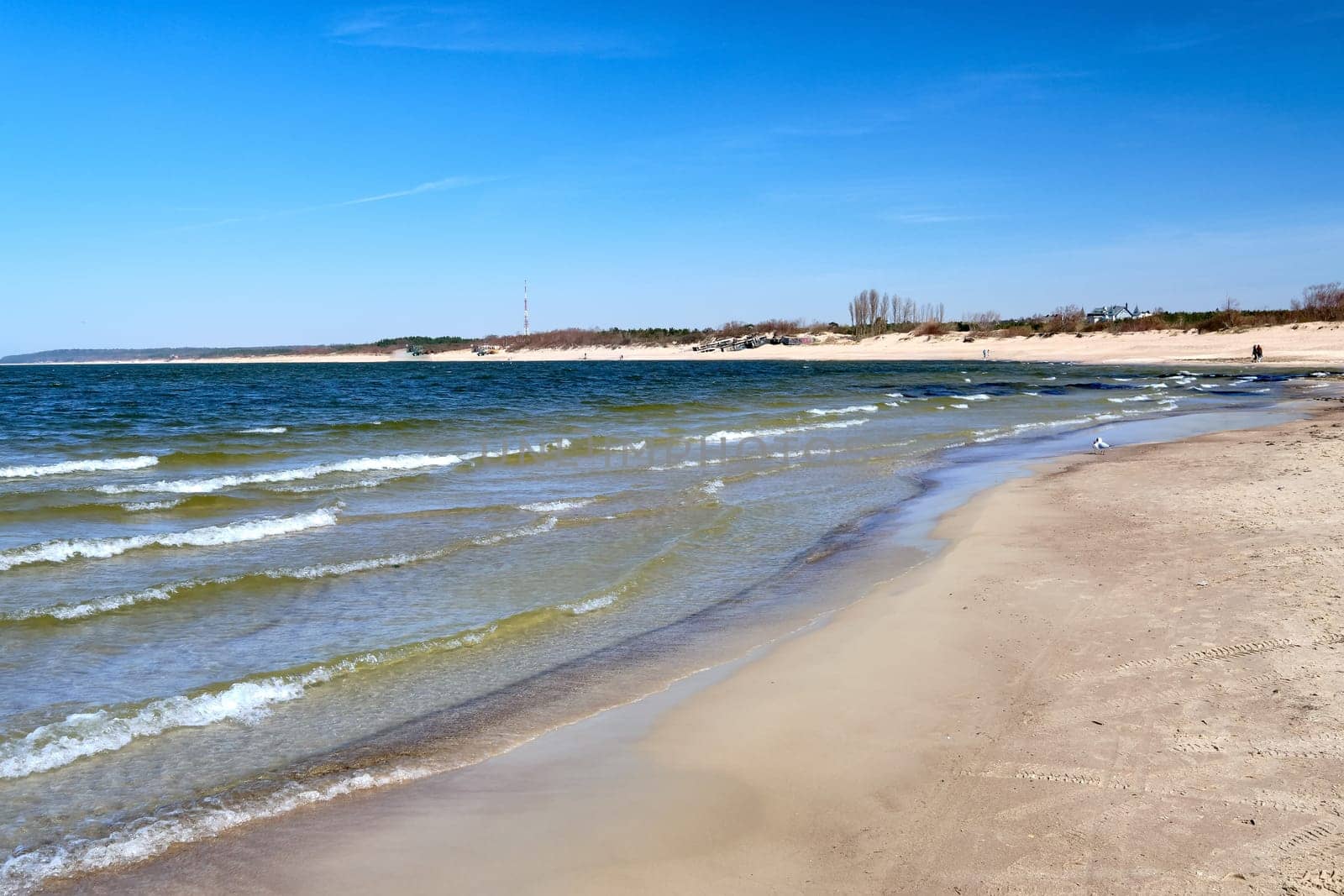 Seascape of Baltic sea beaches in Klaipeda, Lithuania. Mild waves beat on cold pink sand on sunny spring day. Beautiful view.