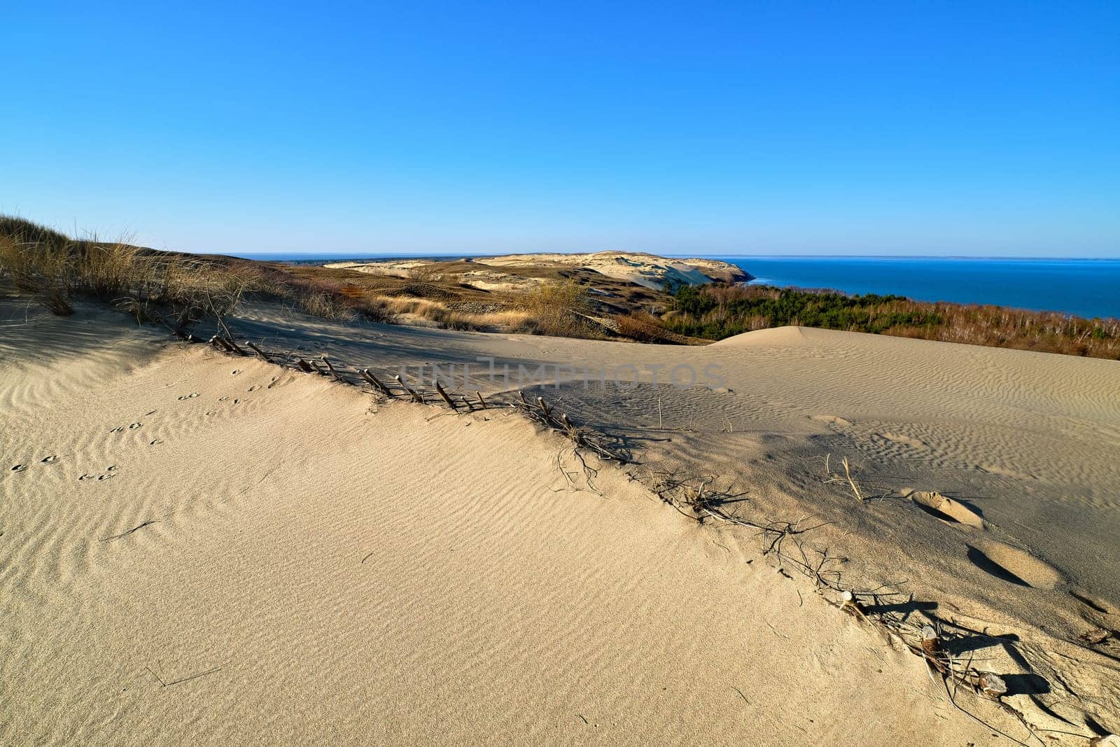 View of diagonal nordic dune rib with submerged protective fences, hills and Baltic sea harbor at Curonian spit, Nida, Klaipeda, Lithuania.