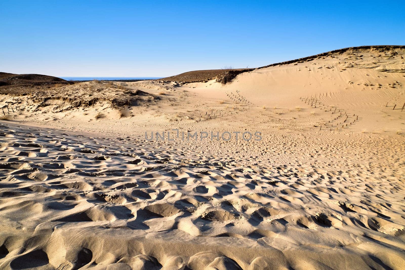 View of nordic dunes of Curonian spit, Nida, Lithuania, white sand patterns, footprints, blue sky. Desert and sunshine and some flora.