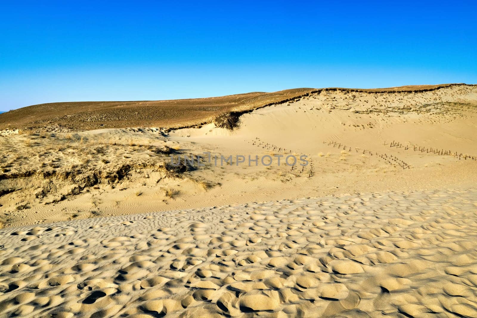 View of beautiful nordic dunes of Curonian spit, Nida, Lithuania, white sand patterns, footprints, blue sky. Desert and sunshine and some flora.