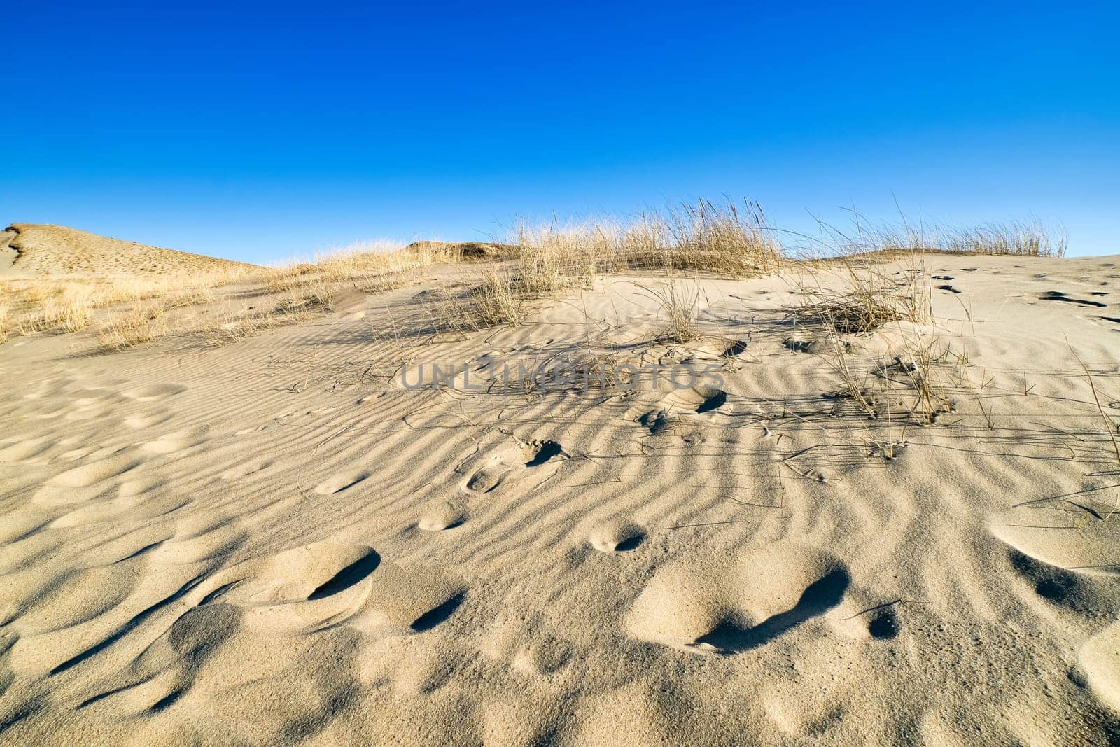 Patterns of lines, waves, footprints and dry grass in nordic dunes of Curonian spit, Nida, Klaipeda, Lithuania. White sand and desert, eternity, desolate, beautiful, calm feeling.