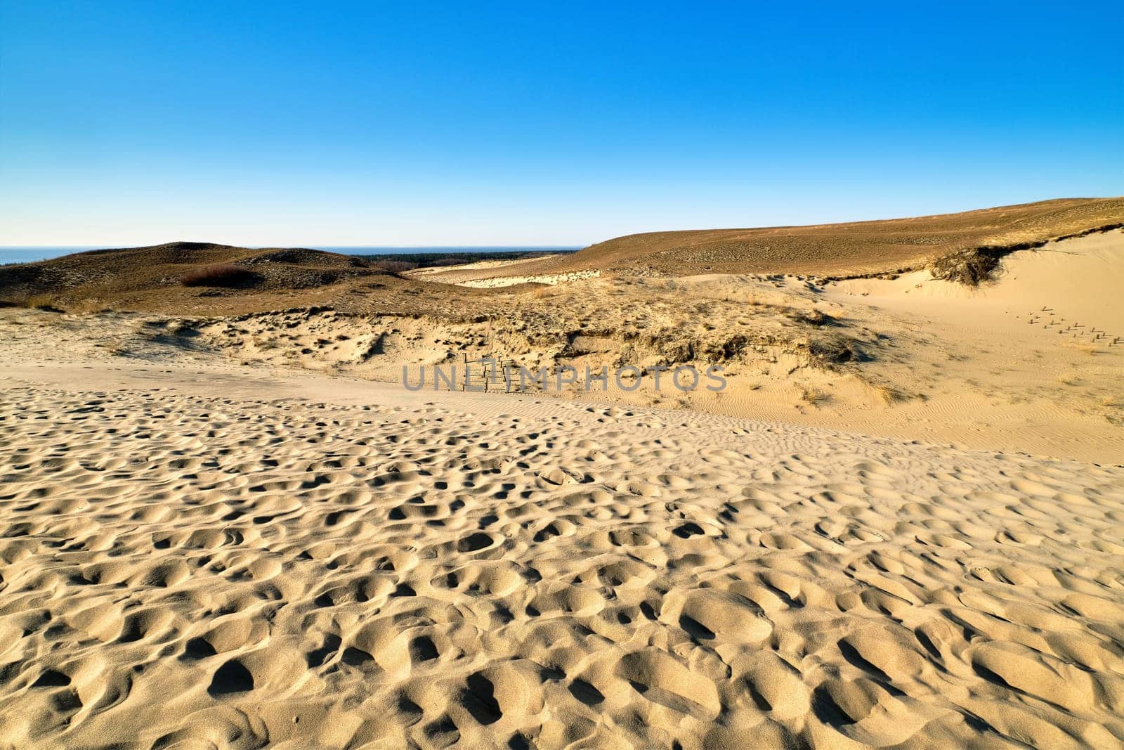 View of beautiful nordic dunes of Curonian spit, Nida, Lithuania, white sand patterns, footprints, blue sky. Desert and sunshine and some flora.