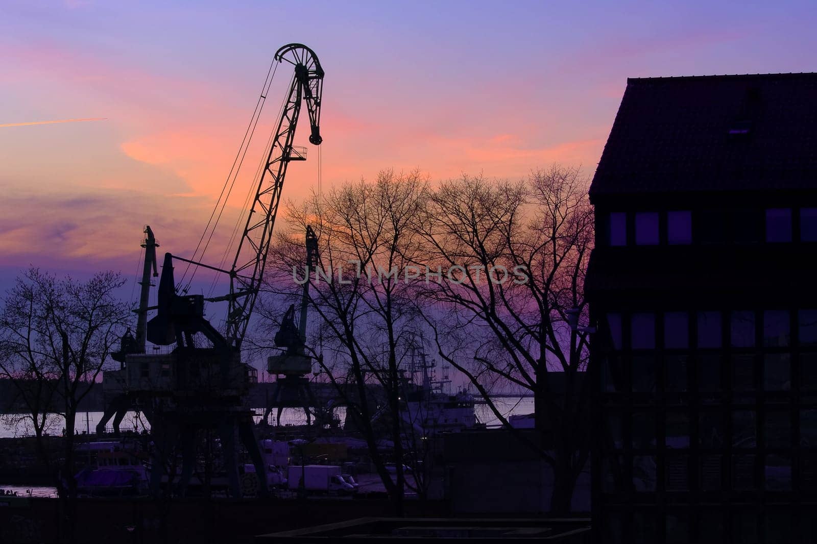 Silhouettes of port crane, trees and building in beautiful colorful sunset in port harbor in Klaipeda, Lithuania.