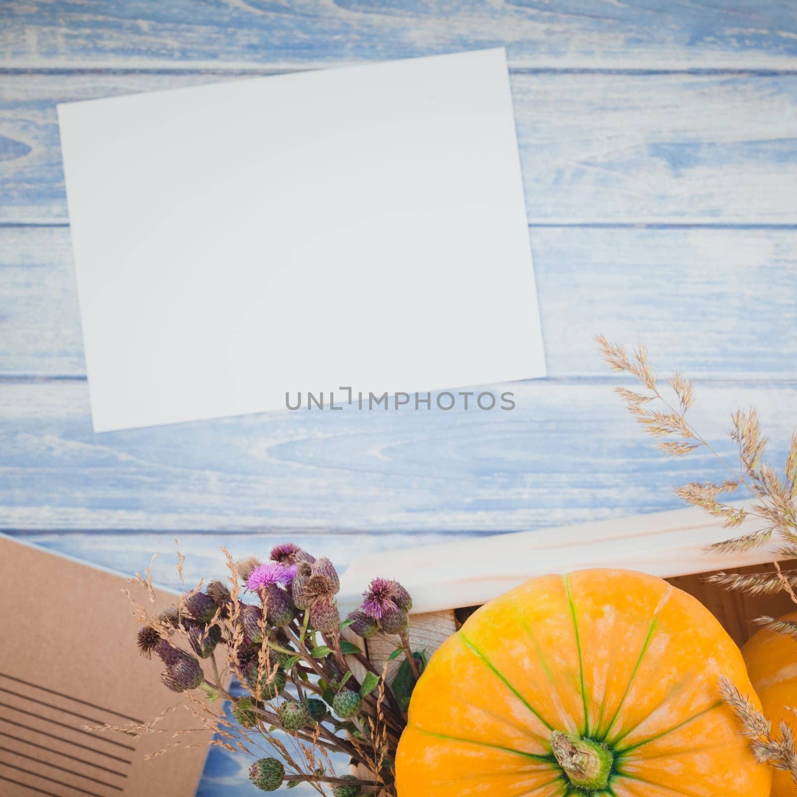 Square Top view of autumn orange pumpkins and dry flowers with grass thanksgiving background over blue toned wooden table with blank letter mock up and copy space in rustic style, template for text