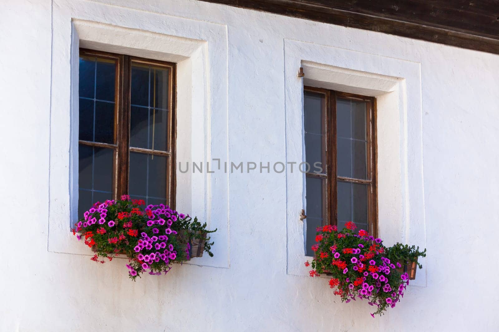 Window with flowerpots and colorful flower on a white wall