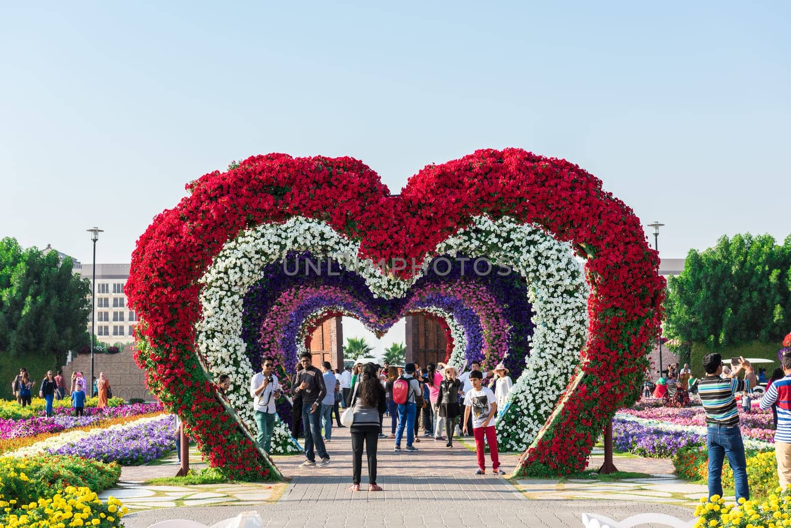 UAE, DUBAI - DECEMBER 30: dubai miracle garden with over million flowers on a sunny day December 30, 2014