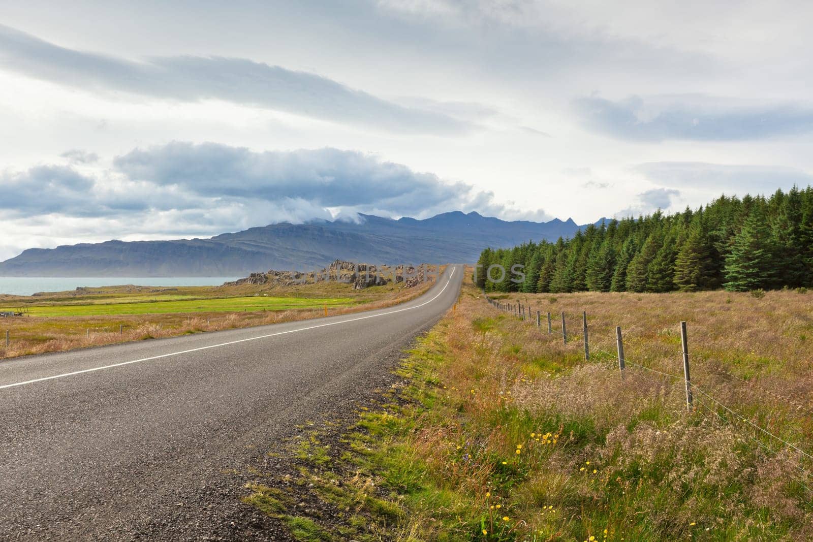 Highway through East Iceland landscape near the sea
