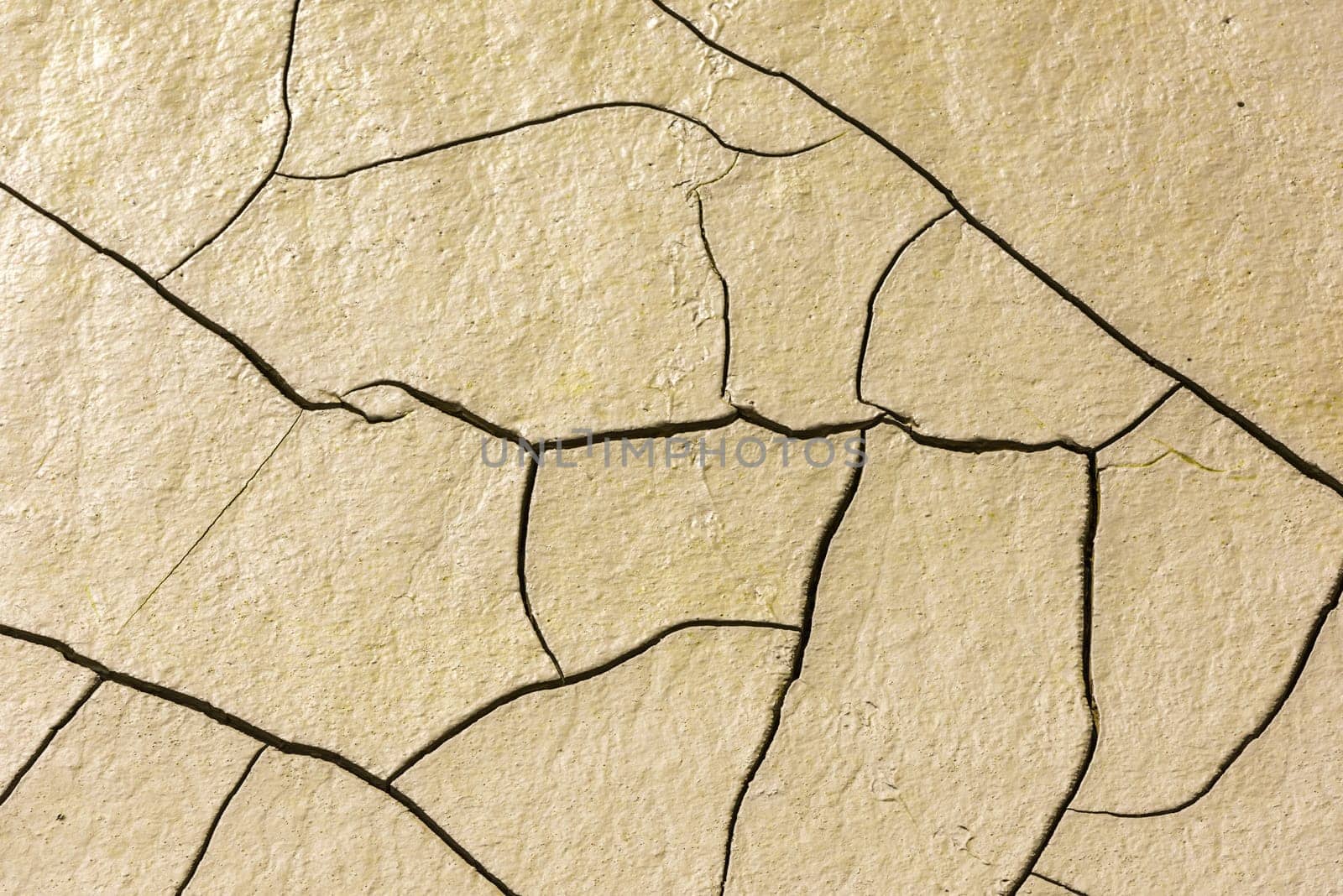 details of a dried cracked earth soil. background