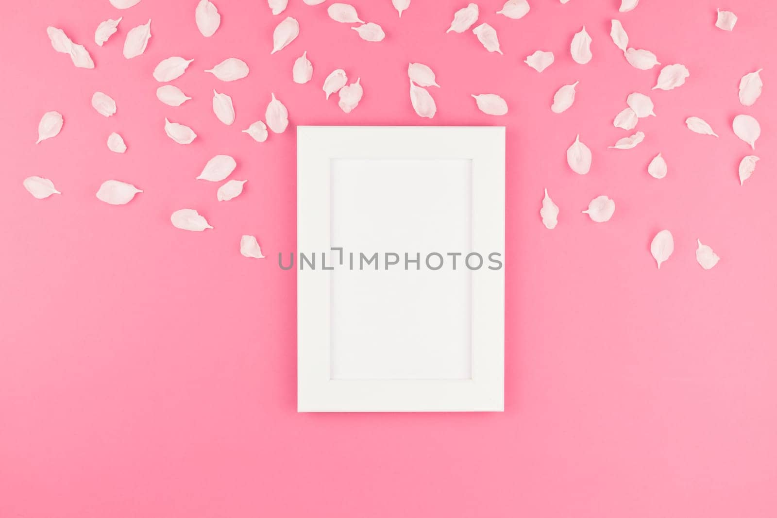 Creative flat lay concept top view of white frame mock up and apple tree flowers petals on pastel pink background with copy space in minimal style, template for text