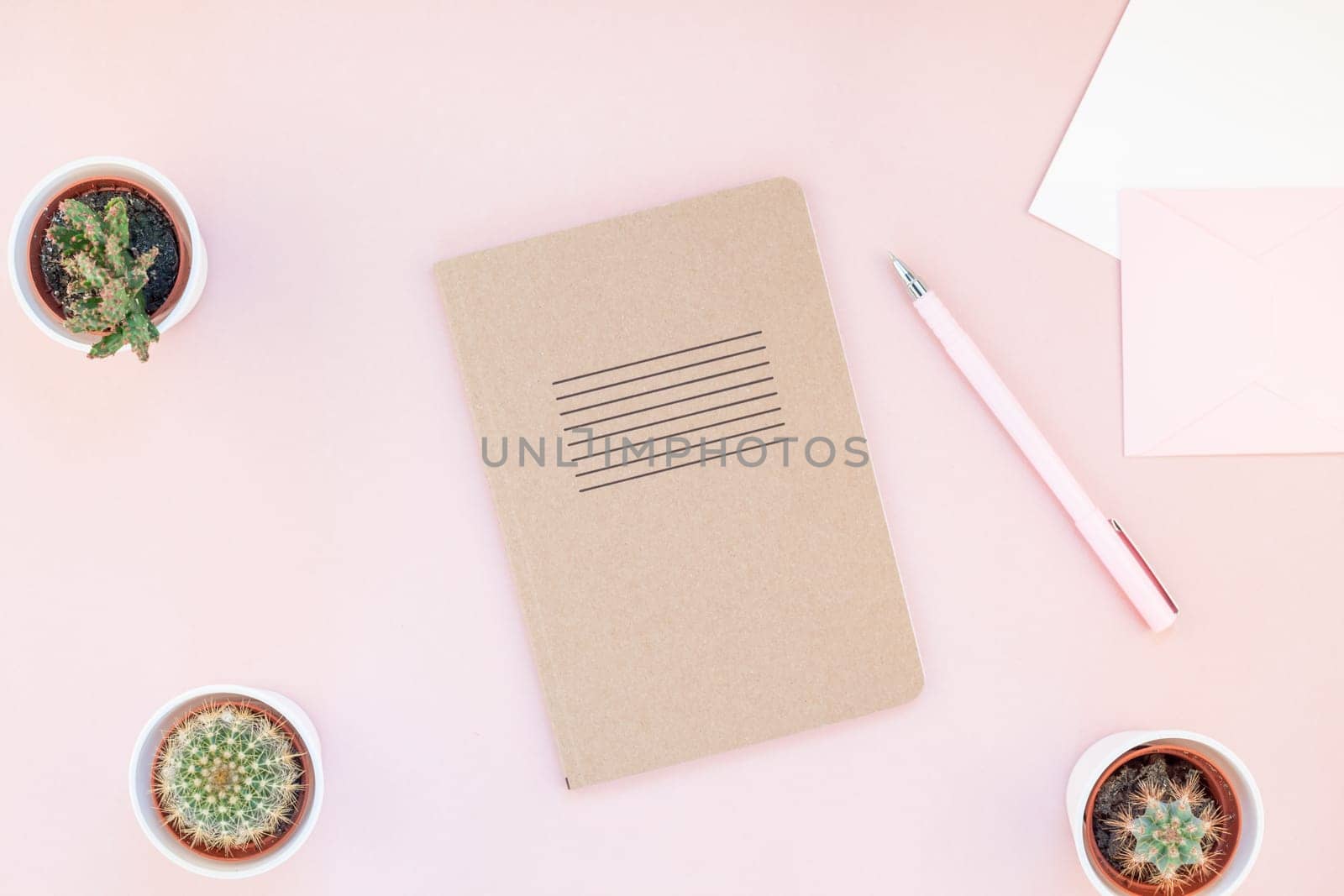 Top view flat lay of workspace desk styled design office supplies and cactuses succulents with copy space millennial pink color paper background minimal style. Template for feminine blog social media