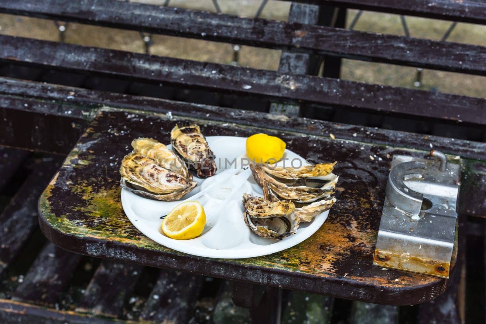 Half a dozen oysters with a lemon on a plastic plate eating outdoors near the sea