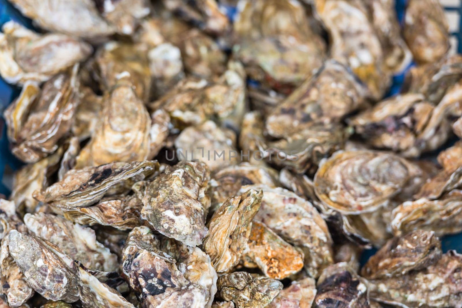 Oysters market in Cancale, Brittany, France. Shot with a selective focus