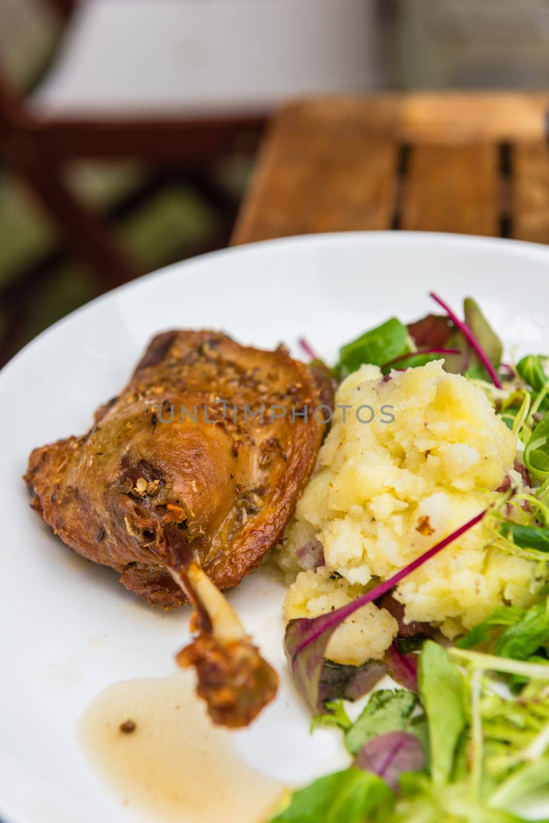 Dish with a roasted duck leg and green salad on a white plate