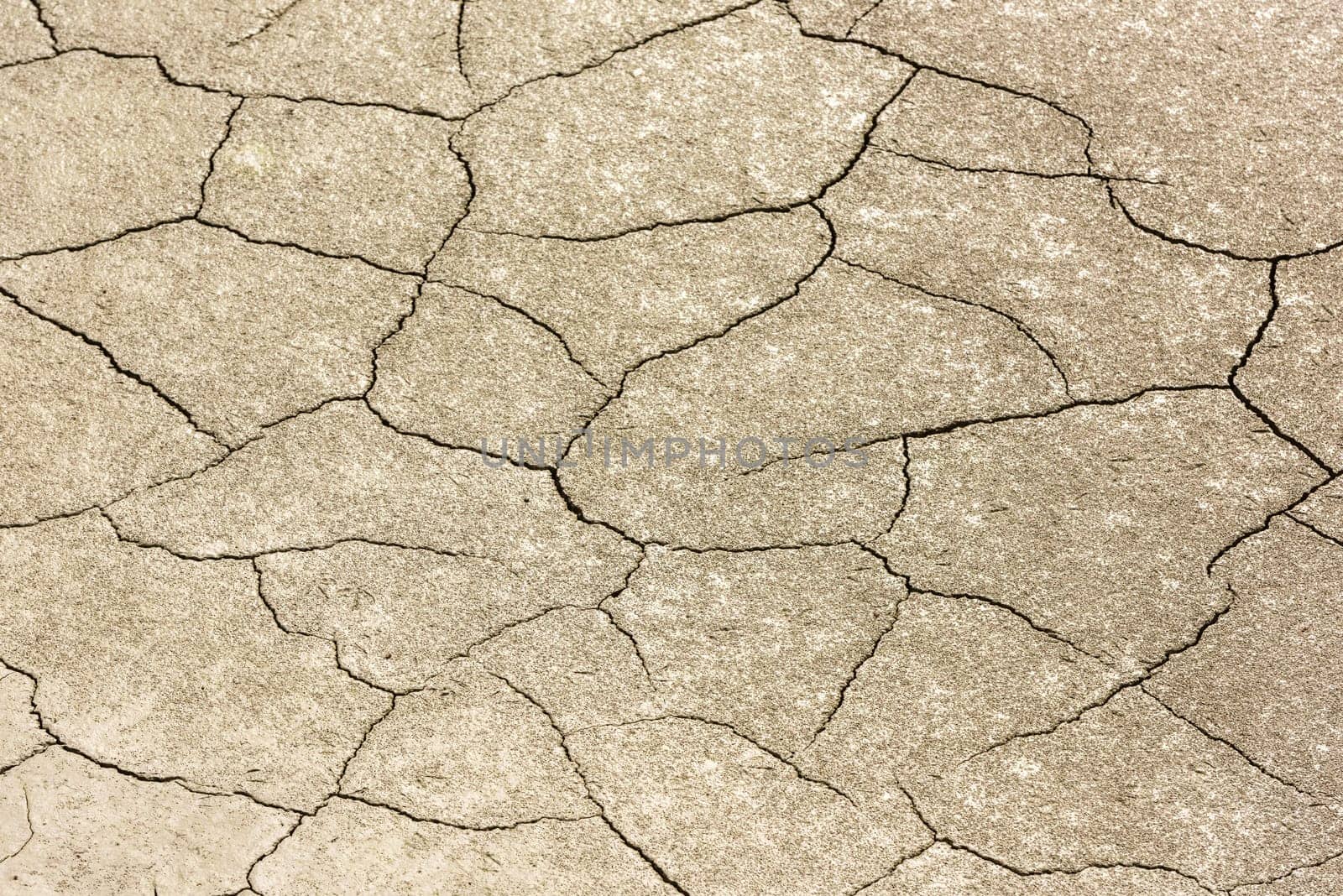 details of a dried cracked earth soil. background