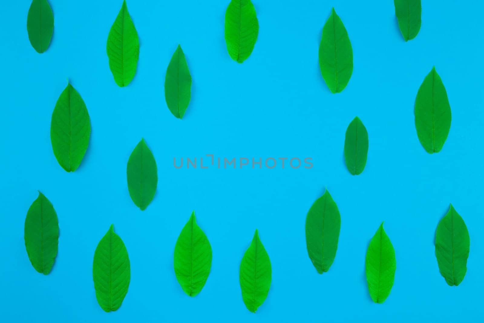 Creative flat lay top view pattern with fresh green leaves on bright blue background with copy space in minimal pop art style, template for text
